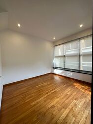 Holland Link (D10), Terrace #583606181